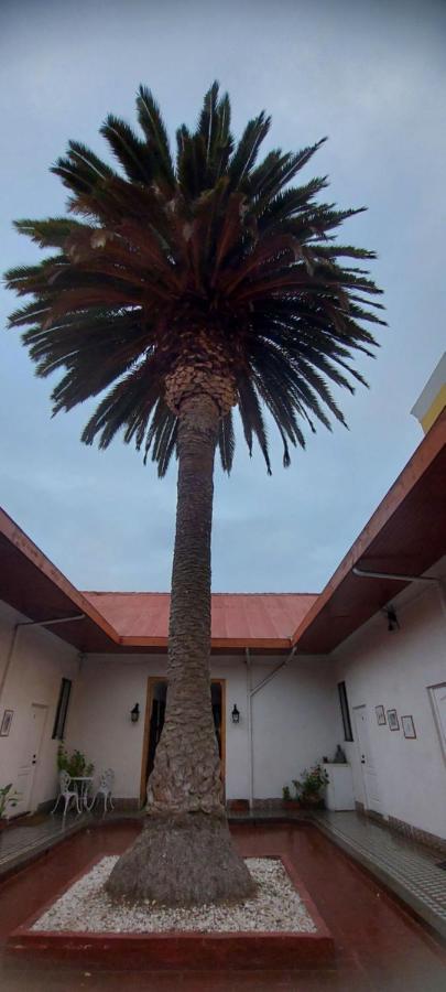 Chagual 2* La Serena